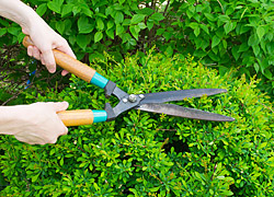 HOA Landscape Maintenance - Choosing the Right Lawn Service Company