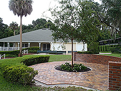 Donated our labor and expertise to install the pavers and plant material for this beautiful project on behalf of the Mount Dora Lawn Bowling Club.  We were proud to be a part of this exciting upgrade to their facility!